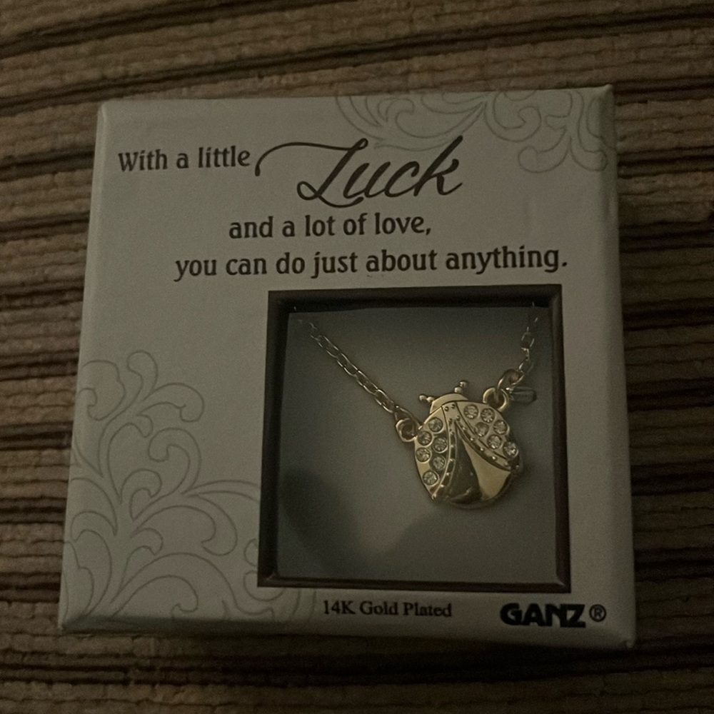 NWT- 14 k gold plated necklace “good luck”ladybug necklace